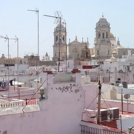 Columela *